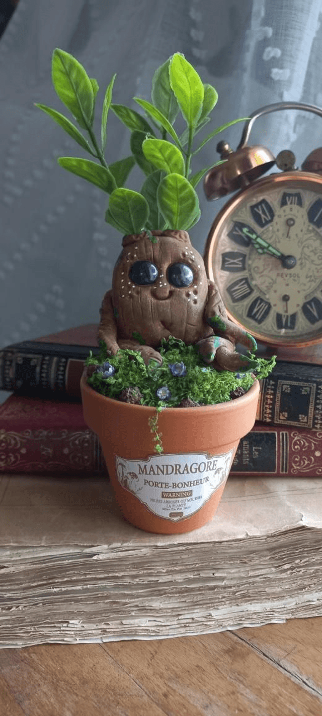 Mandragore