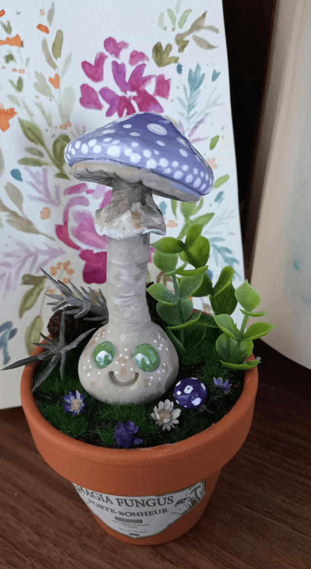 Magia fungus
