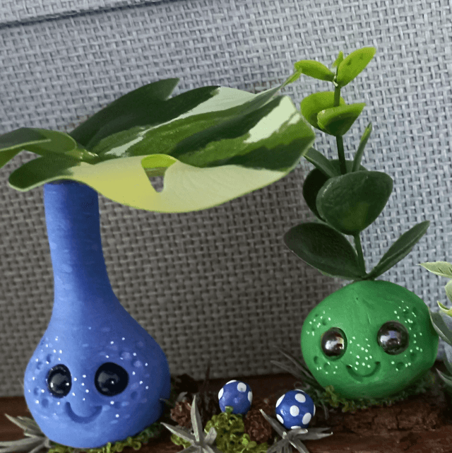 Tropique et pois