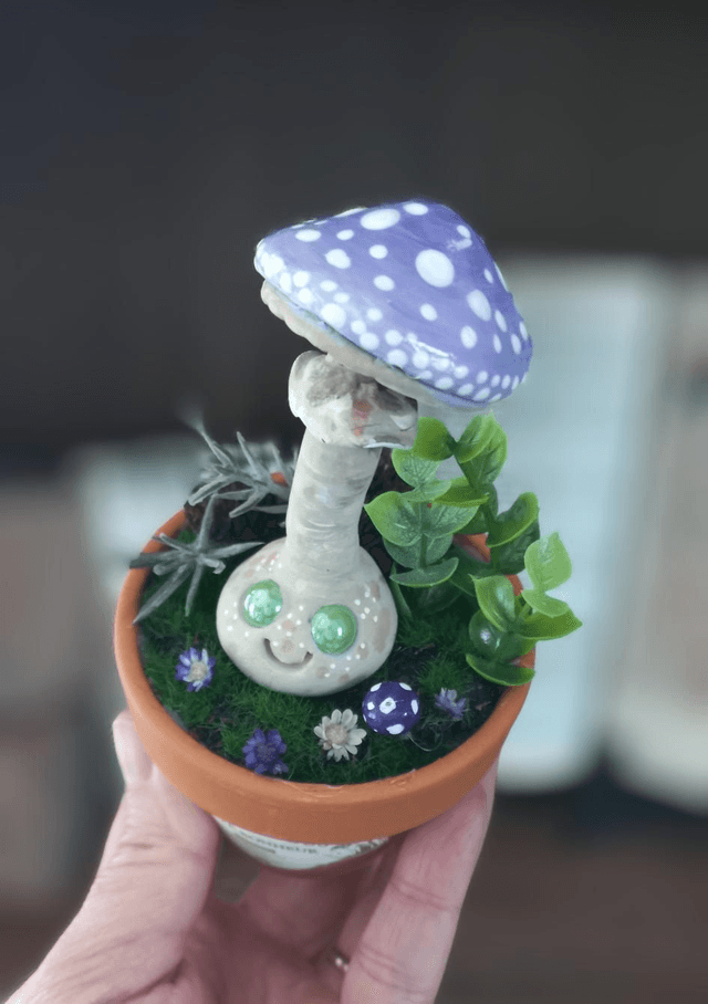 Magia fungus
