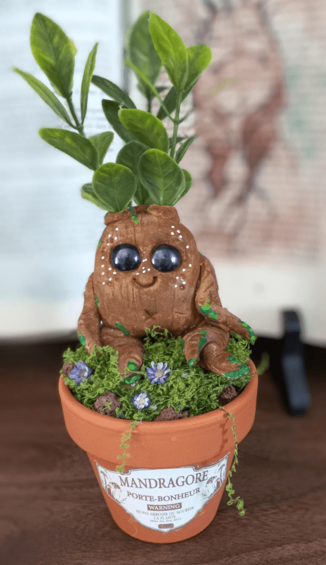 Mandragore